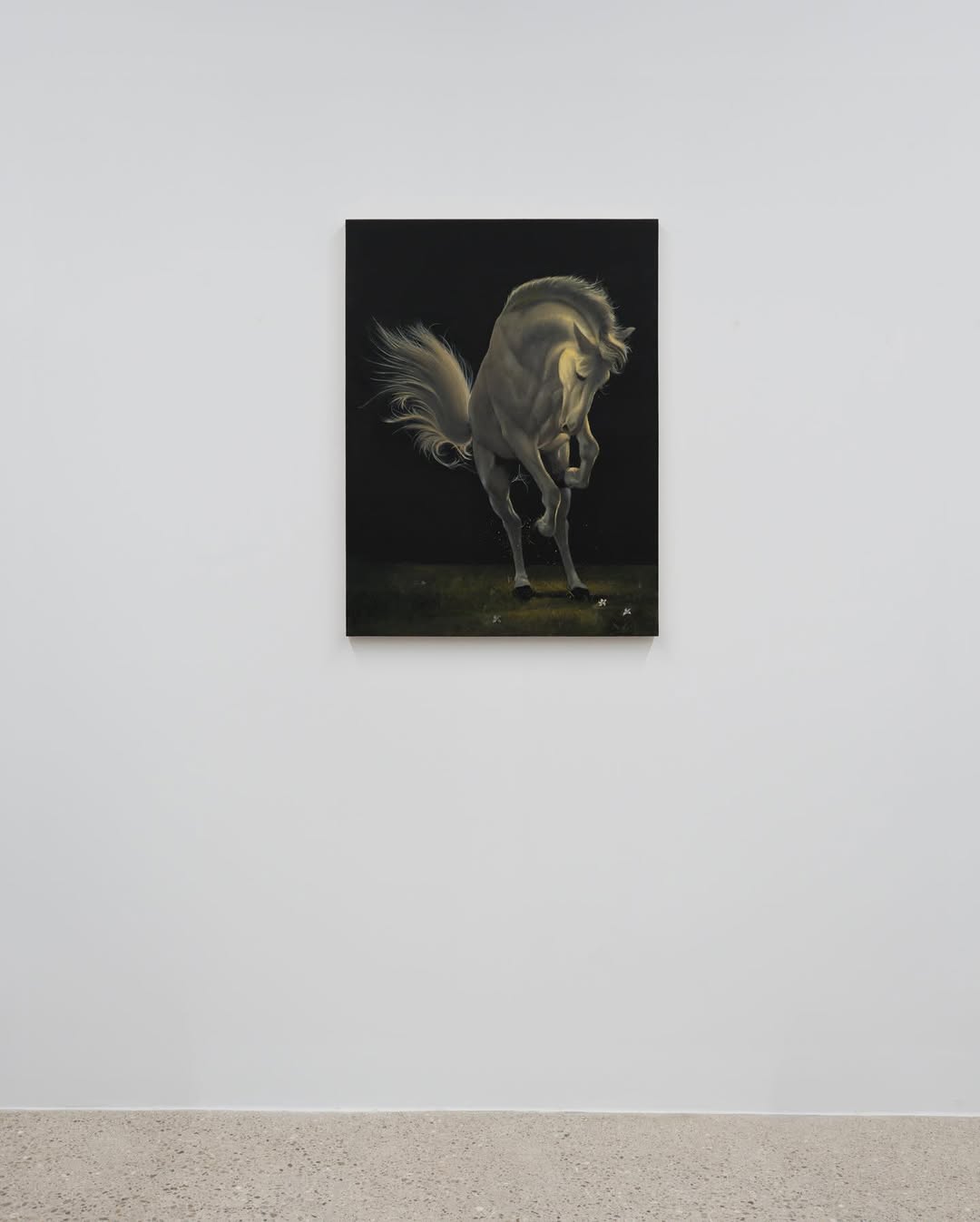 A Horse Named Fate by Caleb Hahne Quintana