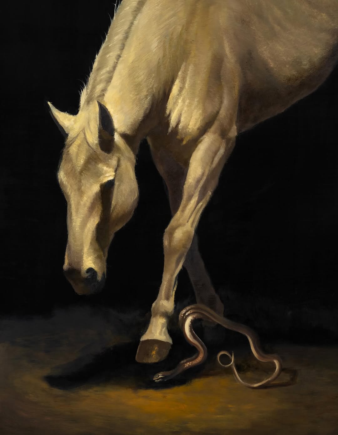 Fear & Fury by Caleb Hahne Quintana