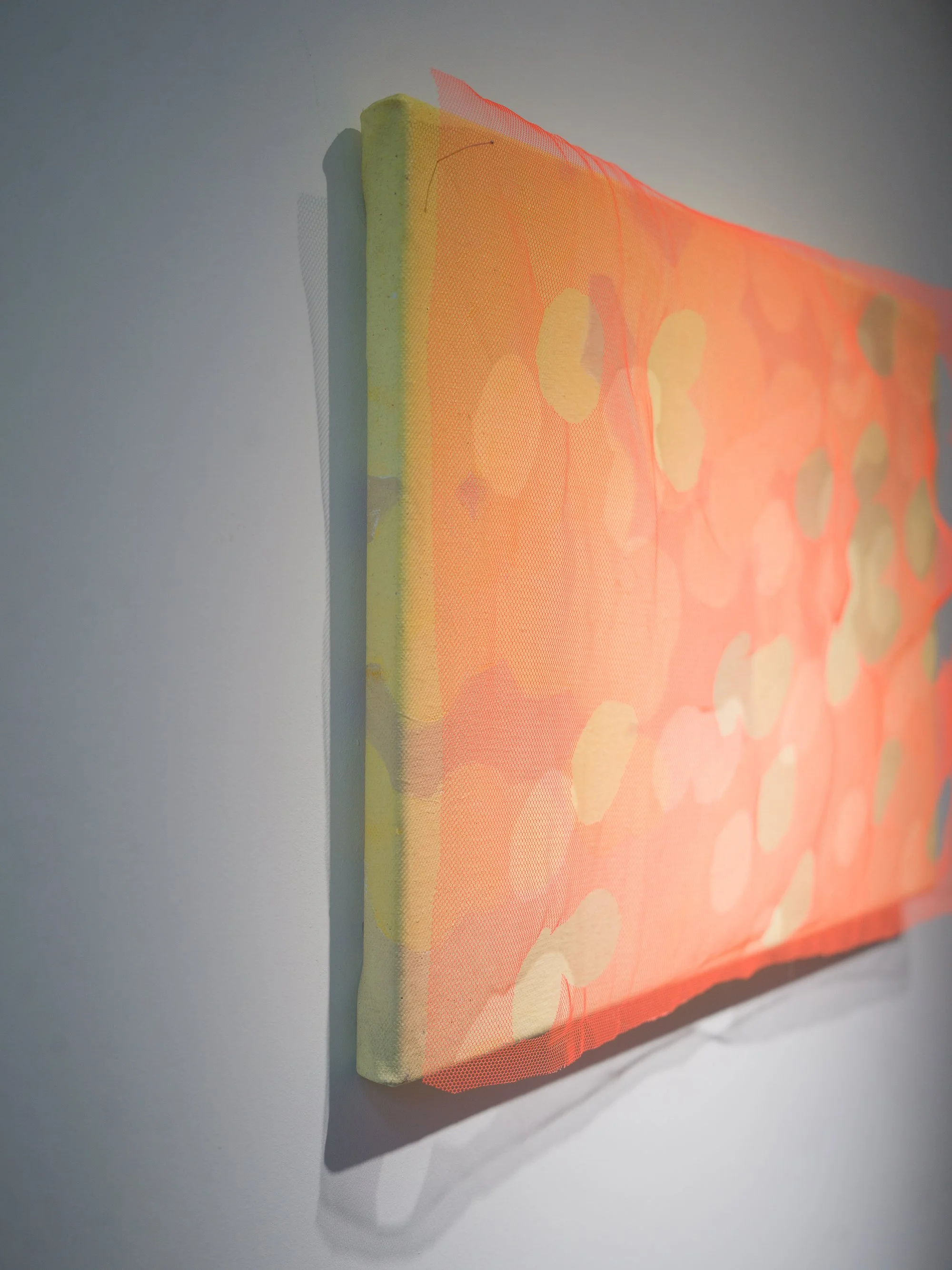 Light From The Same Tree, 10:09 am by Mary Royall Wilgis