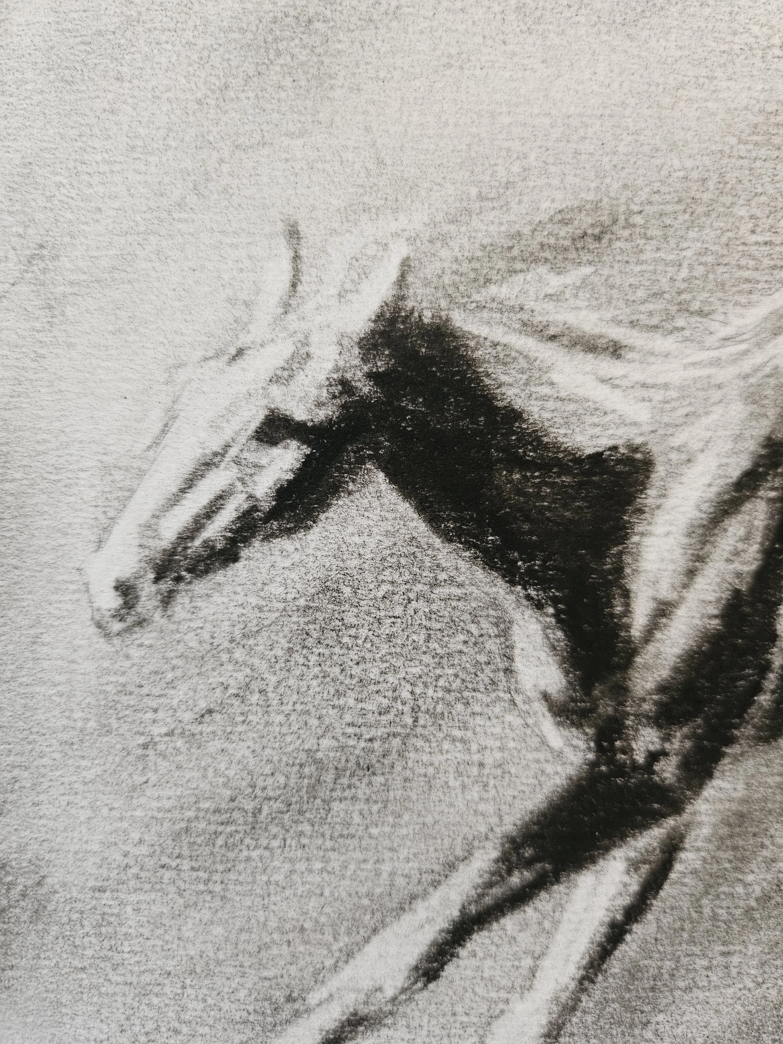 Charcoal Horse by Sylvie Baker